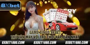 Game Bingo 8xbet: Thử vận may với trò chơi hấp dẫn nhất