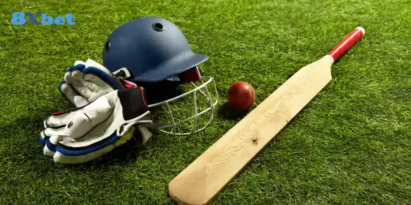 Một số loại hình cá cược cricket phổ biến và hấp dẫn