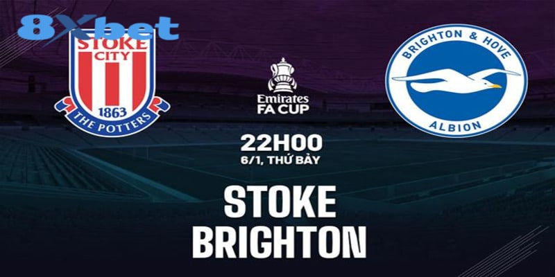 Stoke City Vs Brighton