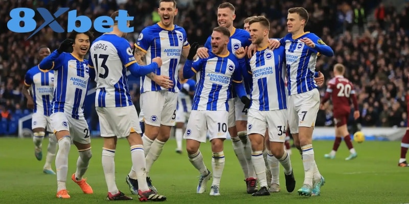 Brighton & Hove Albion có một mùa giải thành công với phong độ chắc chắn